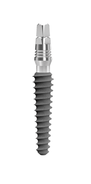 Rough (Large Abutment) 4.1